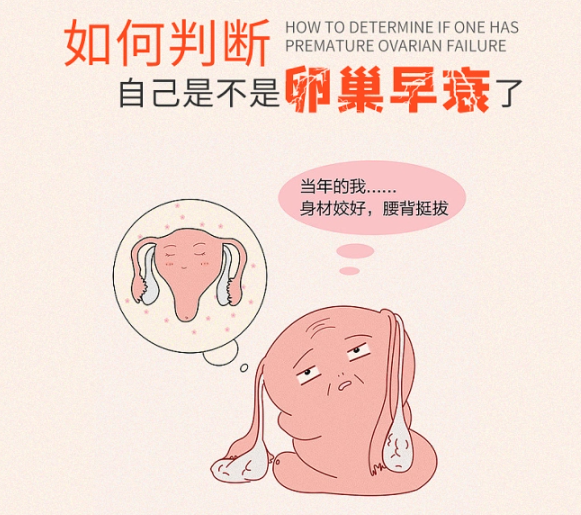 卵巢功能和容貌有关吗？普通女性会不会经历所谓的“一夜老10岁”？
