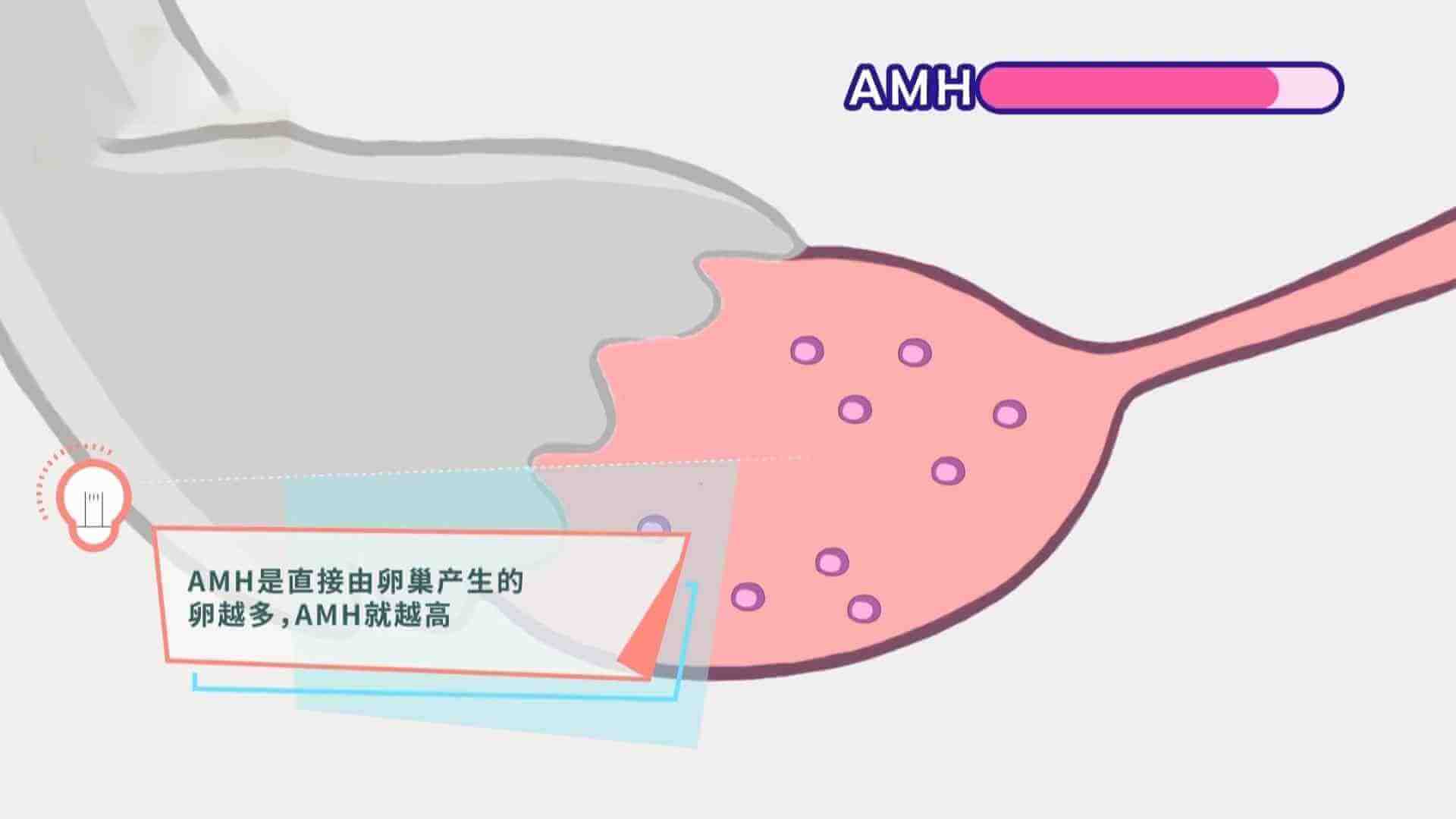 发现AMH值低，该怎么办？