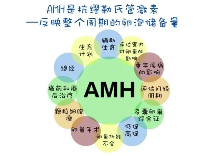 发现AMH值低，该怎么办？