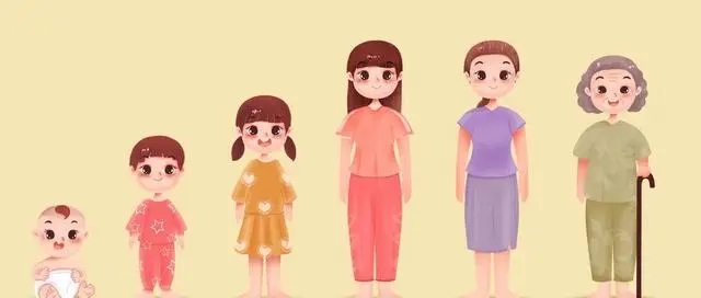 女人一生只能排400颗卵子，谁先排完谁先老？