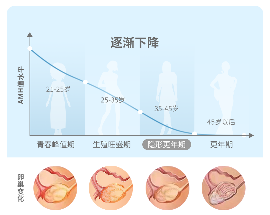 AMH，告诉你真实的卵巢年龄以及卵巢储备能力！