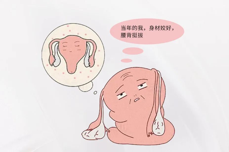 守護女性魅力，從關注卵巢抗衰開始