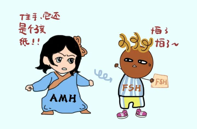 解讀 AMH （抗缪勒氏管激素）——這下徹底記住了