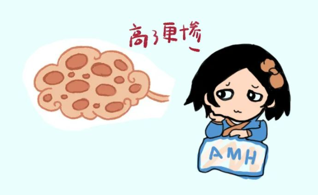 解讀 AMH （抗缪勒氏管激素）——這下徹底記住了