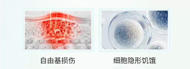 科普|什麽是KB-120小分子卵巢細胞營養素？