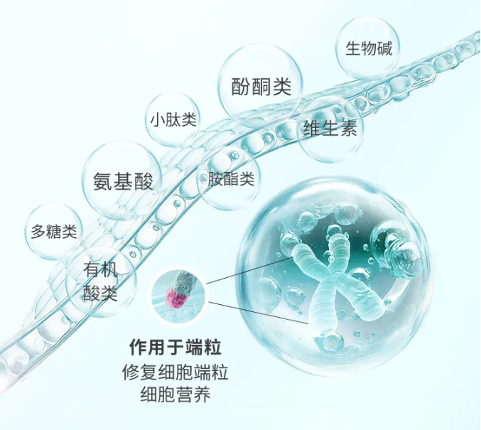 科普|什麽是KB-120小分子卵巢細胞營養素？