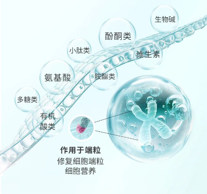 康仙媞「內源性抗衰」引爆蕊畔私密消費洞察與增長大會，行業大咖集體點贊